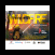 Living With Wildfire