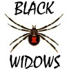 205th Firebomber Squadron (Black Widows) Store