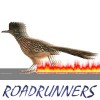102nd Transport Squadron (Roadrunners) Store
